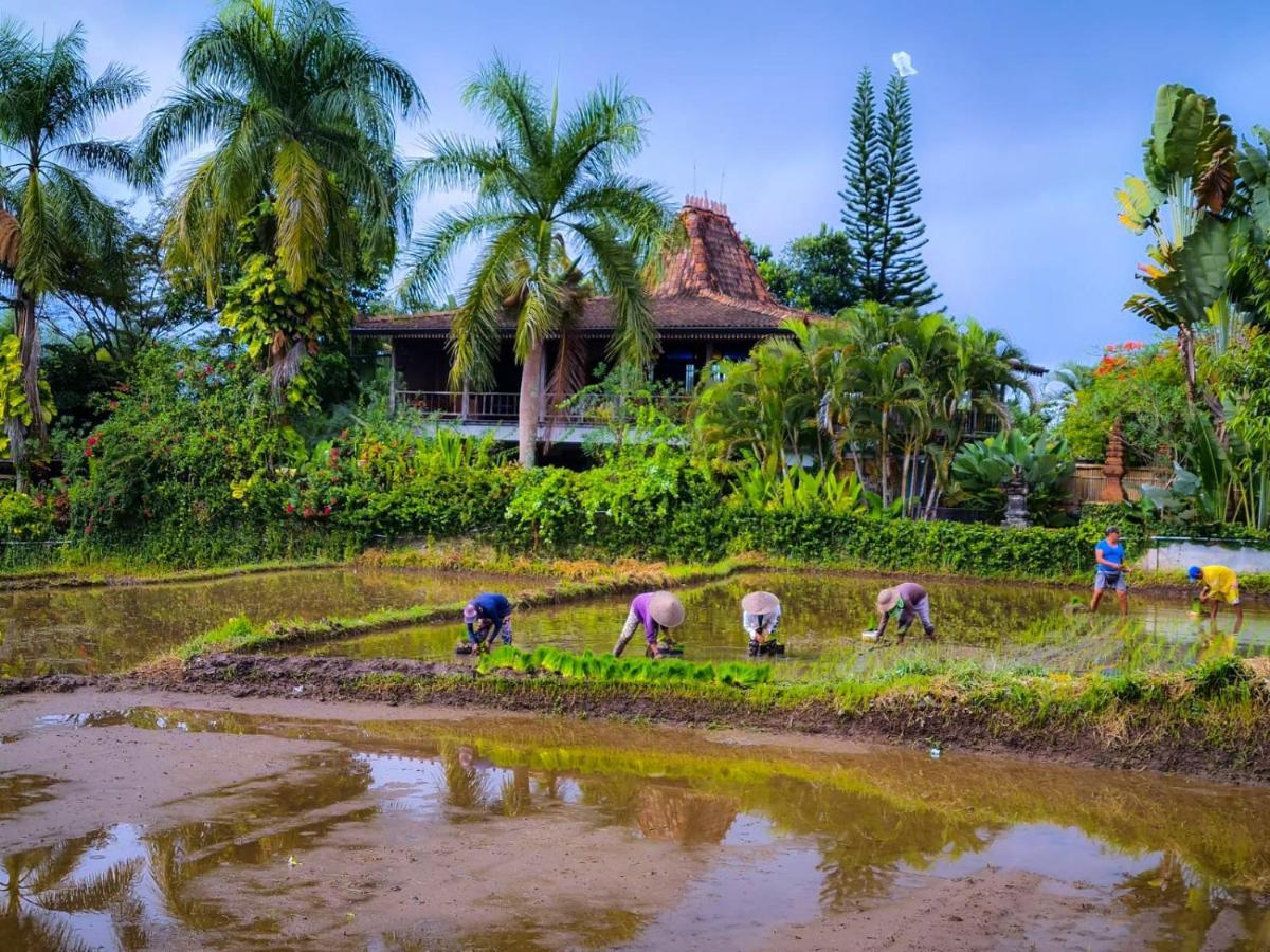 Ayu Dira Heritage House Ubud Eksteriør billede