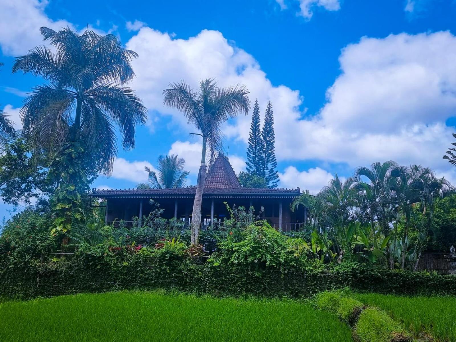 Ayu Dira Heritage House Ubud Eksteriør billede
